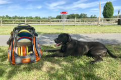 Gibson, Whispering Falls DGC