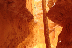 Brian, Wall Street, Bryce Canyon NP, UT