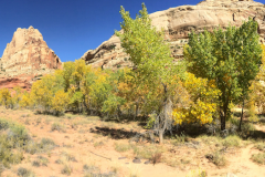 Capitol Reef NP, UT