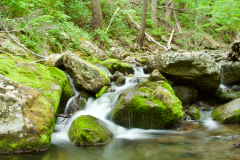 Piney Branch, Shenandoah NP, VA